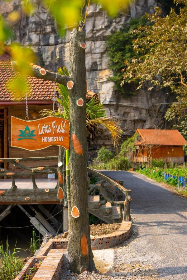 Lotus Field Homestay Ninh Binh