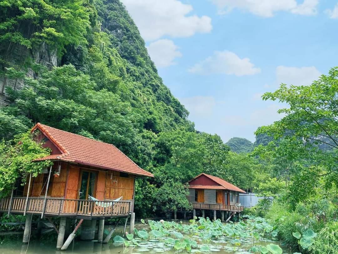 Lotus Field Séjour chez l'habitant Ninh Bình