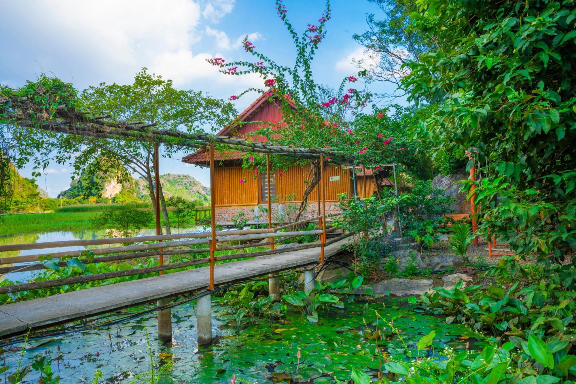Lotus Field Séjour chez l'habitant Ninh Bình
