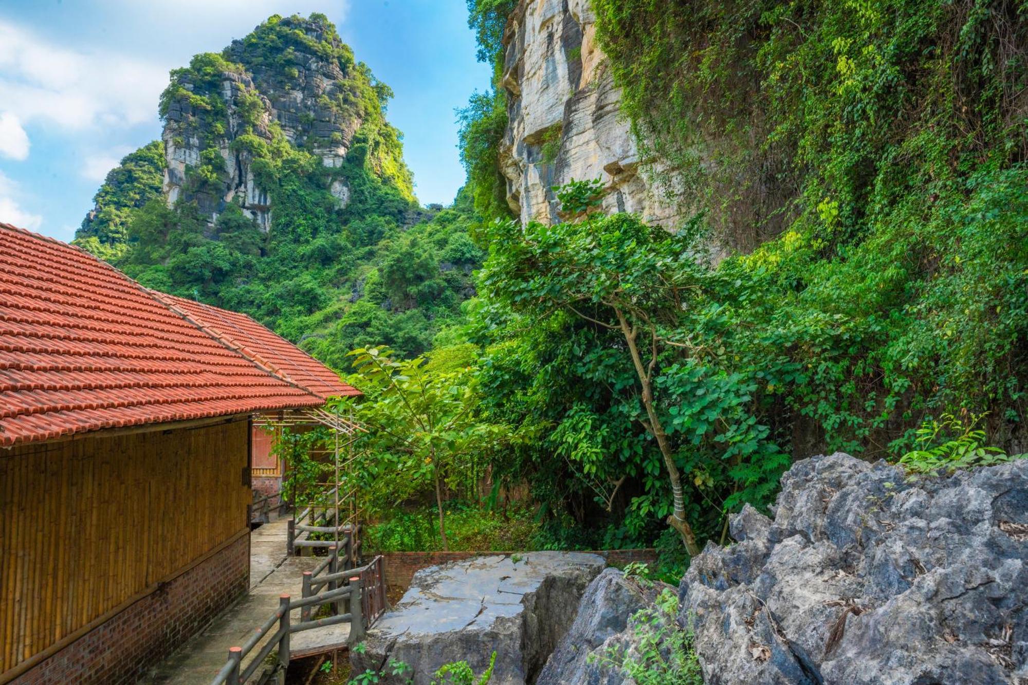 Lotus Field * Ninh Bình