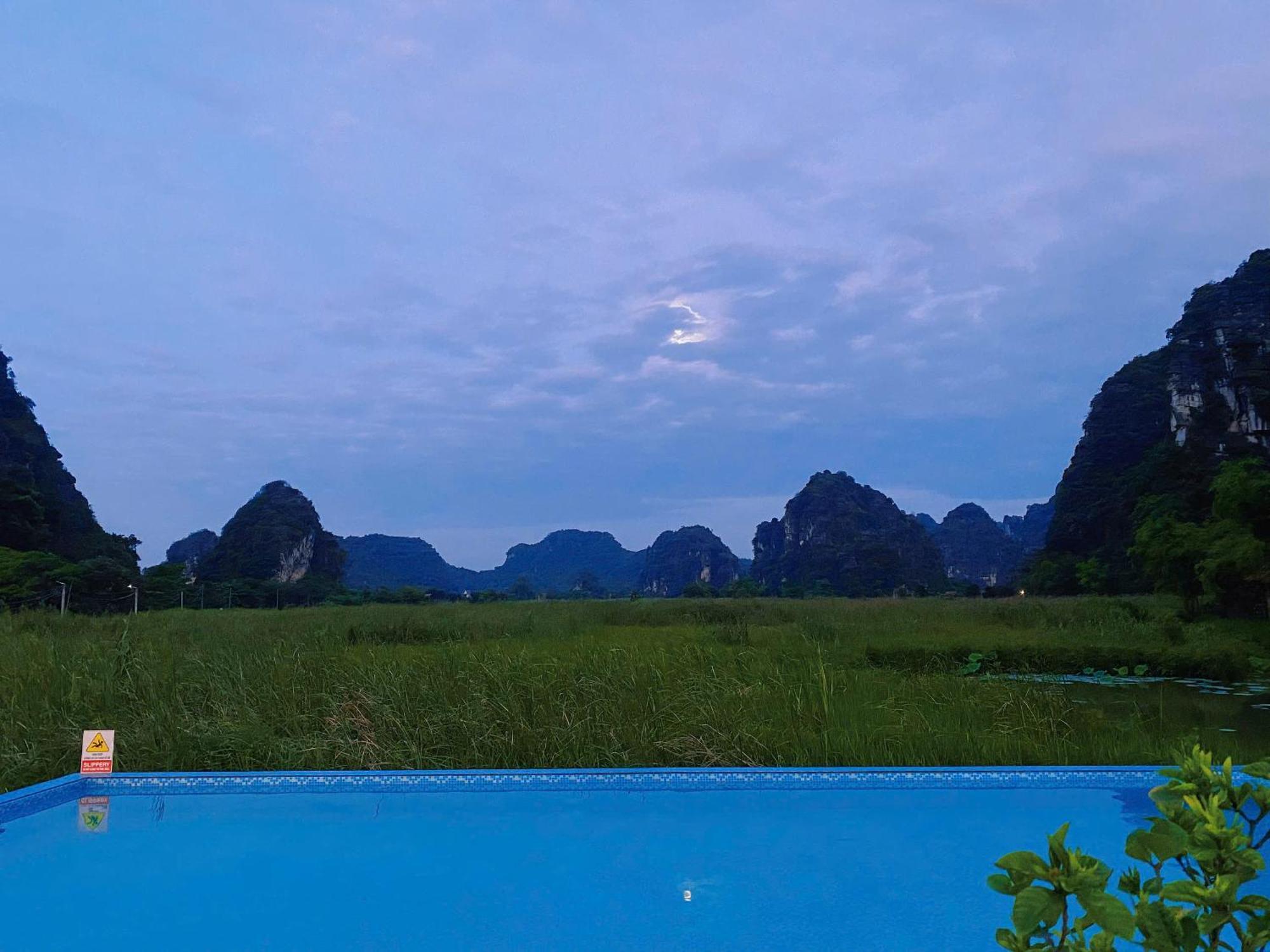 Lotus Field
